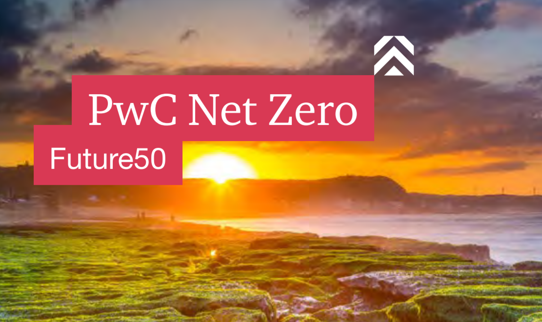 PwC Net Zero Future50 on emerging technologies